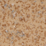 Линолеум коммерческий гетерогенный Tarkett Acczent Pro Mineral 100011 2 мм 4х20 м